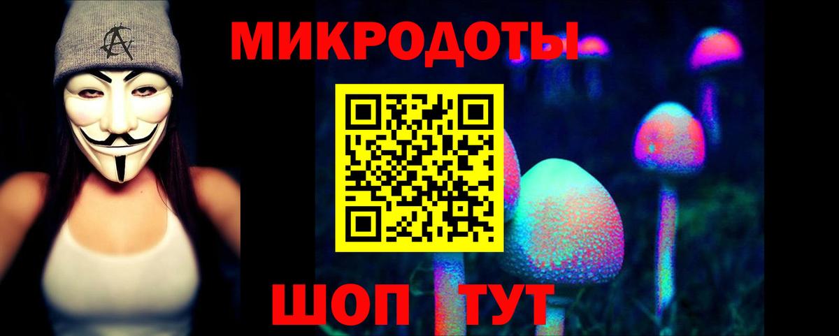 Галлюциногенные грибы мицелий  Псилоцибиновые грибы Psilocybine cubensis  Вход с VPN  Новозыбков 